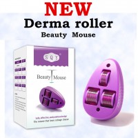 NEW PRODUCT! ZL Factory Direct Sale SQY Beauty Mouse Dermaroller, 3 in 1 Derma Roller for Body Treatment